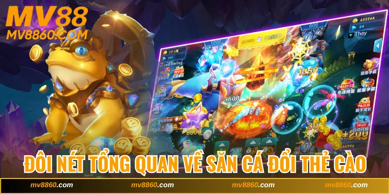 Đôi nét tổng quan về săn cá đổi thẻ cào