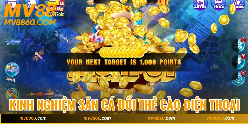 Kinh nghiệm săn cá đổi thẻ cào điện thoại